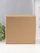 Копилка "Слон счастья" белый, 25х12х25 см  (артикул 10994931)  большой выбор товаров оптом и в розницу по низким ценам с доставкой