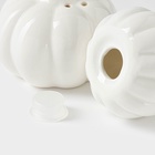 УЦЕНКА Набор для специй BellaTenero «Витамины», солонка 60 мл, перечница, 60 мл, на бамбуковой подставке, фарфор, белый - Фото 4