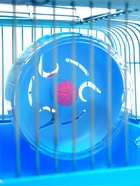 Клетка для грызунов «Пижон», 27×21×15 см, с наполнением, синяя - Фото 8