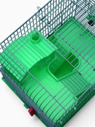 Клетка для грызунов «Пижон», 27×21×27 см, с наполнением, зелёная - Фото 6