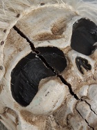 УЦЕНКА Посох «Череп» 160 см, дерево - Фото 3