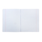 Комплект предметных тетрадей "Будь в фокусе!", 48 листов, 12 предметов, в упаковке, матовая ламинация, выборочный лак - Фото 3