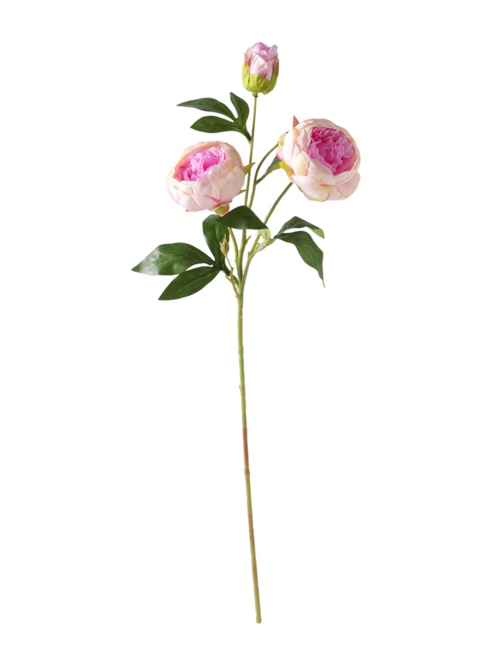 Цветы искусственные «Пион Бьорг», h=65 см, d=8.5 см, бело-сиреневые - Фото 1
