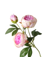 Цветы искусственные "Пион Бьорг" d-8,5 см 65 см, бело-сиреневый  (артикул 10970084)  большой выбор товаров оптом и в розницу по низким ценам с доставкой