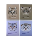 Тетрадь 48 листов линейка "Кошачьи мордочки", картонная обложка, выборочный лак, 4 вида МИКС - Фото 1