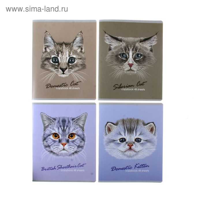 Тетрадь 48 листов линейка "Кошачьи мордочки", картонная обложка, выборочный лак, 4 вида МИКС - Фото 1