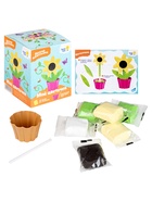 Набор для лепки «Мой цветочек», МИКС - Фото 4