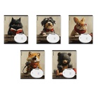 Тетрадь 12 листов лин ErichKrause Funny Friends, обл. мел картон, блок офсет 60г/м2 МИКС 10999429