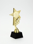 Кубок, наградная фигура «Звезда», подставка пластик, золото, 24×10.1×7.8 см - фото 809618799