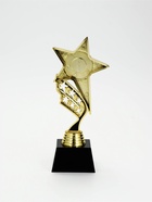 Кубок, наградная фигура «Звезда», подставка пластик, золото, 24×10.1×7.8 см - фото 809618800