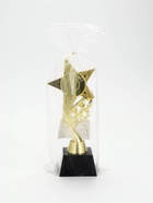 Кубок, наградная фигура «Звезда», подставка пластик, золото, 24×10.1×7.8 см - фото 809618802