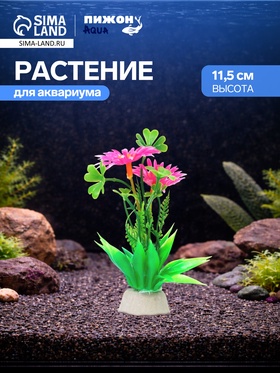Растение для аквариума и террариума, 11,5 см  (артикул 10958245)  большой выбор товаров оптом и в розницу по низким ценам с доставкой
