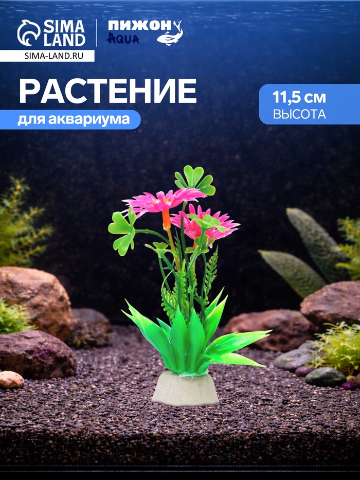 Растение для аквариума и террариума, 11.5 см