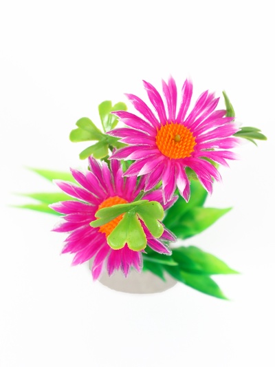 Растение для аквариума и террариума, 11.5 см