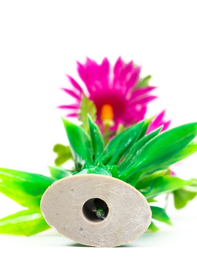 Растение для аквариума и террариума, 11.5 см