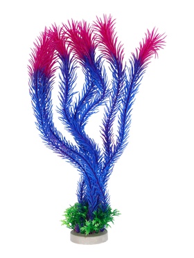 Растение для  аквариума, до 35 см , синие  (артикул 10958248)  большой выбор товаров оптом и в розницу по низким ценам с доставкой