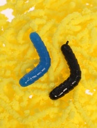 Мялка «Живые червячки», цвет МИКС 10963673