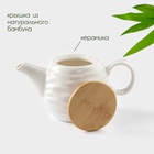 УЦЕНКА Чайник заварочный «Bella Tenero. Волна» 250 мл, 16×8.5×8.5 см - Фото 2