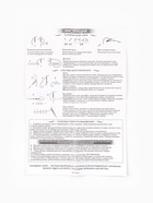 Вышивка крестиком «Милый корги», 16×18 см - фото 809619598