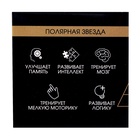 УЦЕНКА Головоломка Игры разума «Полярная звезда» - Фото 8