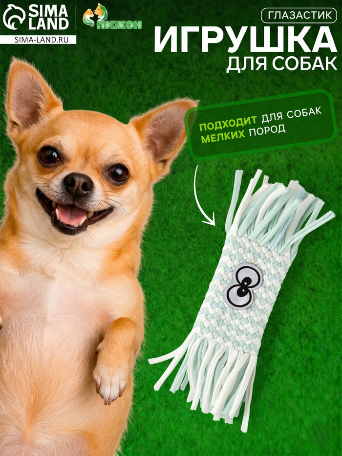 Игрушка для собак канатная «Глазастик», до 20 см, до 40 г