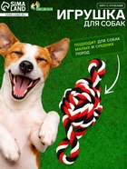 Игрушка для собак канатная «Мяч с ручками», мяч 22 см, до 130 г - Фото 1