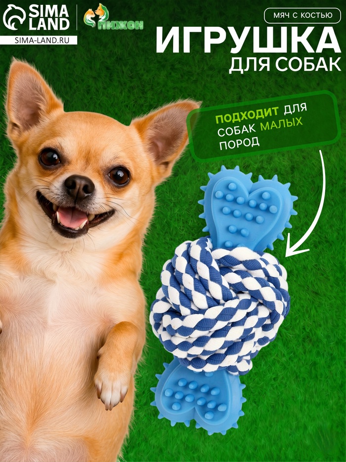 Игрушка для собак канатная «Мяч с костью», до 11 см, до 55 г, синяя