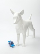 Игрушка для собак канатная «Мяч с костью», до 11 см, до 55 г, синяя 10941558