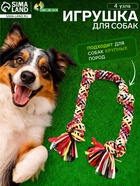Игрушка для больших собак канатная «4 узла», до 70 см, до 300 г - фото 809620353
