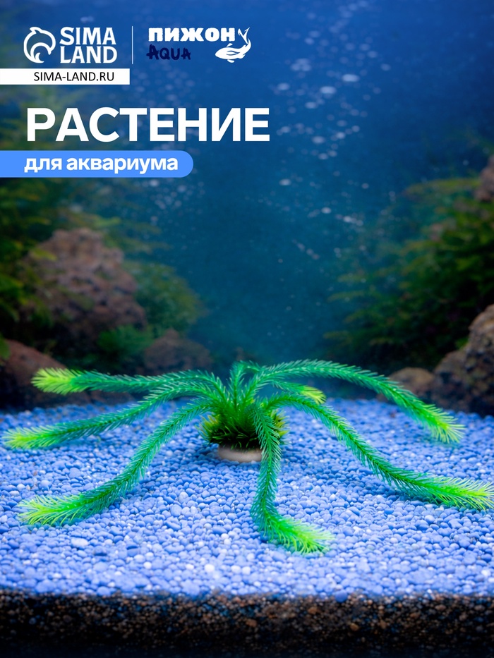 Растение для  аквариума, до 35 см , зеленое