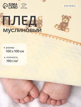 Плед двухслойный «Этель» Bear, 100×100 см, муслин, вельбоа