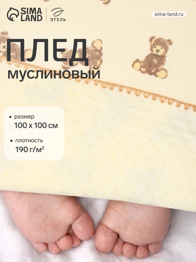 Плед двухслойный «Этель» Bear, 100×100 см, муслин, вельбоа