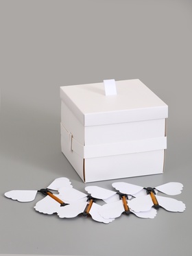 Коробка-сюрприз подарочная «Бабочки» белая, с вылетающими бабочками, 15×14.8×12.5 см