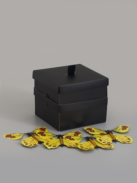 Коробка-сюрприз подарочная «Бабочки» чёрная, с вылетающими бабочками, 15×14.8×12.5 см