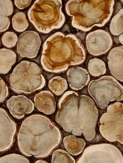 Панно из можжевельника для бани, 50×50 см