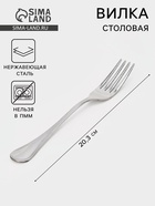 Вилка столовая «Соната», длина 20.3 см, толщина 2 мм, нержавеющая сталь, серебристая - Фото 1