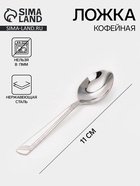 Ложка кофейная «Аппетит», длина 11 см, толщина 1 мм, нержавеющая сталь, серебристая - Фото 1