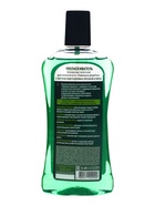 Ополаскиватель для рта Таёжные рецепты с экстрактом кедровых орешков и мятой, 500 мл - фото 809622942