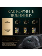 Влажный корм Sheba для кошек курица, паштет, пауч 75 г - Фото 6