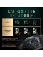 Влажный корм Sheba для кошек лосось, паштет, пауч 75 г - Фото 7