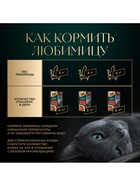 Влажный корм Sheba «Суп Коллекция» для взрослых кошек, суп, говядина, 70 г - Фото 5