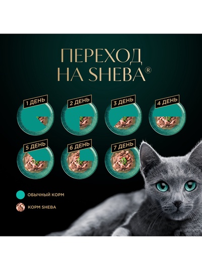 Влажный корм Sheba «Суп Коллекция» для взрослых кошек, суп, говядина, 70 г