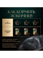 Влажный корм Sheba «Суп Коллекция» для взрослых кошек, суп, курица,70 г - Фото 5