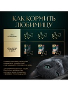 Влажный корм Sheba «Суп Коллекция» для взрослых кошек, суп, форель, 70 г - Фото 5