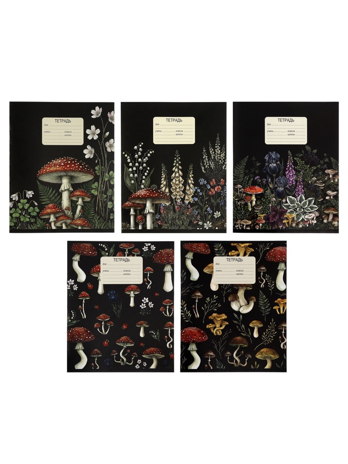 Тетрадь 12 листов в клетку Calligrata «Грибы», обложка мелованный картон, МИКС