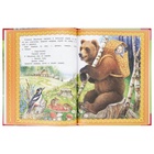 Книга «Русские народные сказки. Мир волшебства», 96 стр. 11014012 - фото 9823602