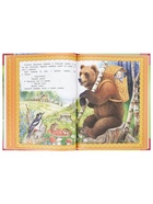 Книга «Русские народные сказки. Мир волшебства», 96 стр. - фото 809724829
