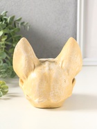 Копилка "Череп сфинкса" 14х14х13 см, натуральный - фото 809624110