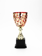 Кубок спортивный 194 С цвет зол, на пластиковой подставке, 29 × 12 × 12 см - фото 809624567