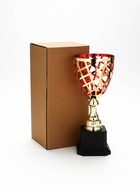 Кубок спортивный 194 С цвет зол, на пластиковой подставке, 29 × 12 × 12 см - фото 809624570